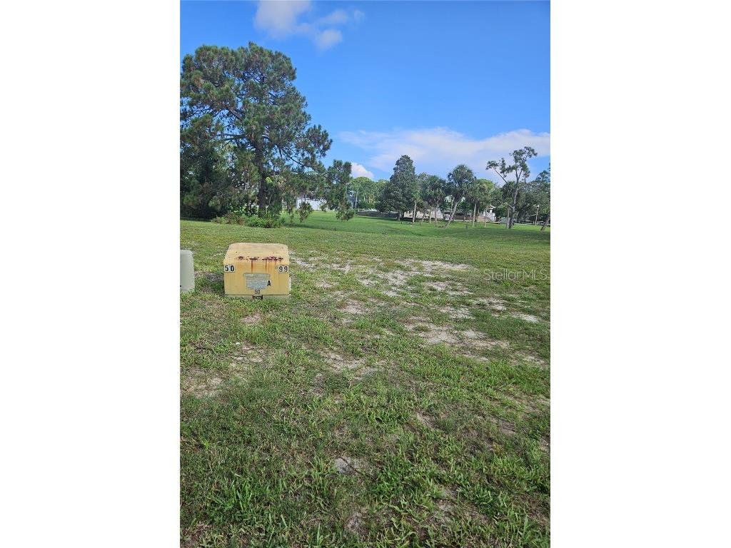 N Pointe Alexis Drive Tarpon Springs FL 34689 TB8301023 image8
