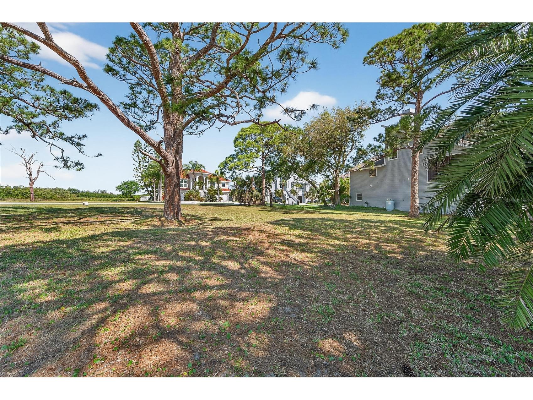 N Pointe Alexis Drive Tarpon Springs FL 34689 TB8492009 image11