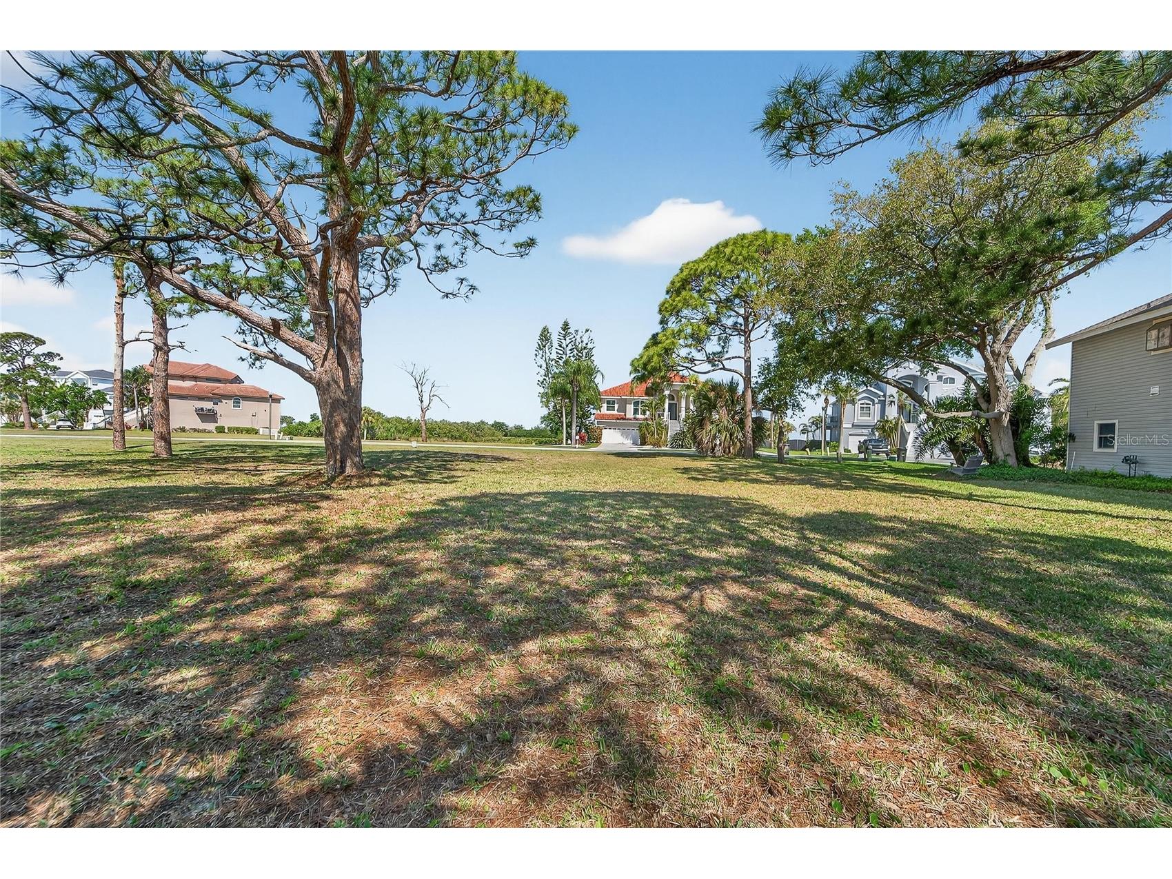 N Pointe Alexis Drive Tarpon Springs FL 34689 TB8492009 image12