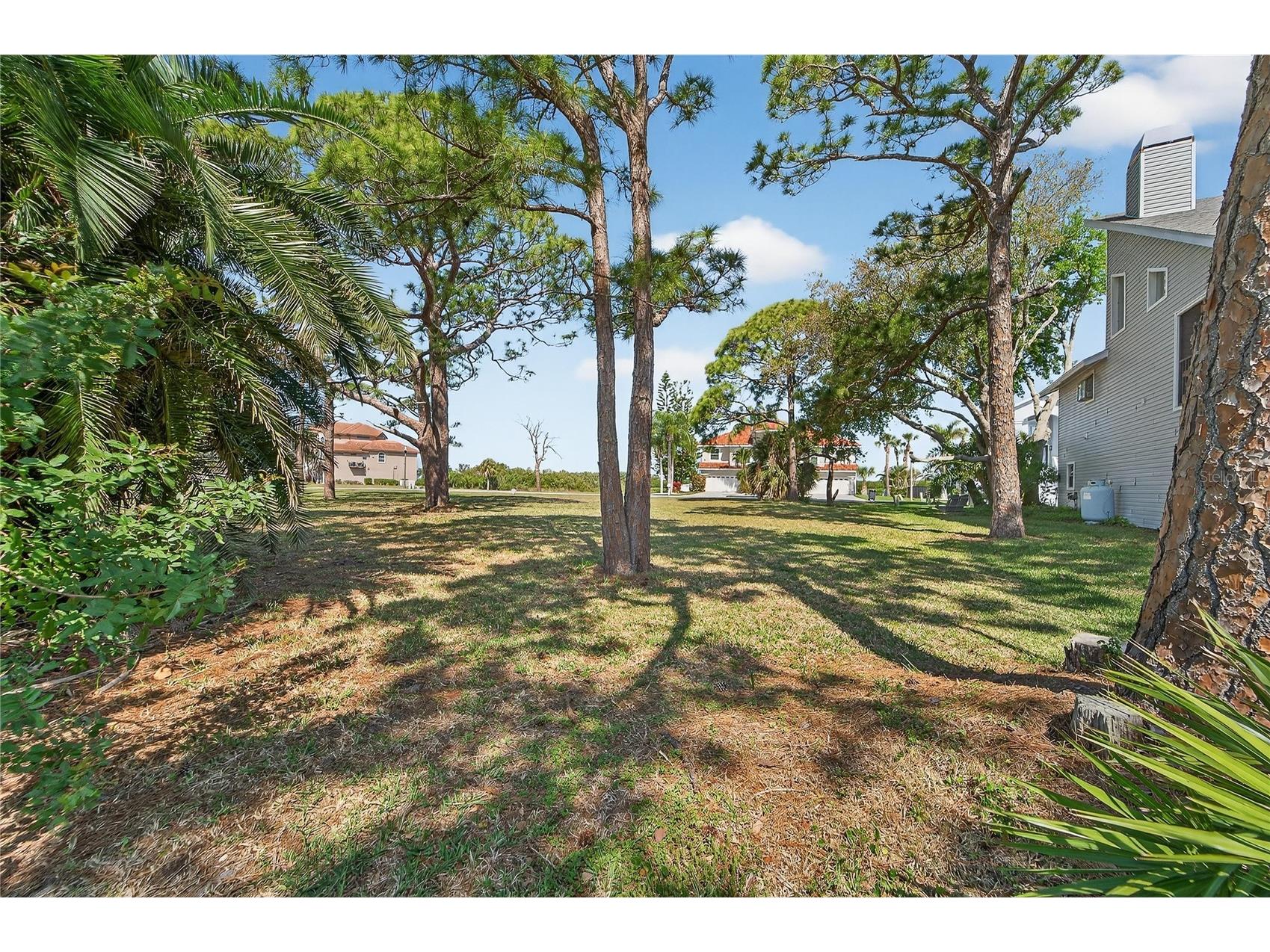 N Pointe Alexis Drive Tarpon Springs FL 34689 TB8492009 image13