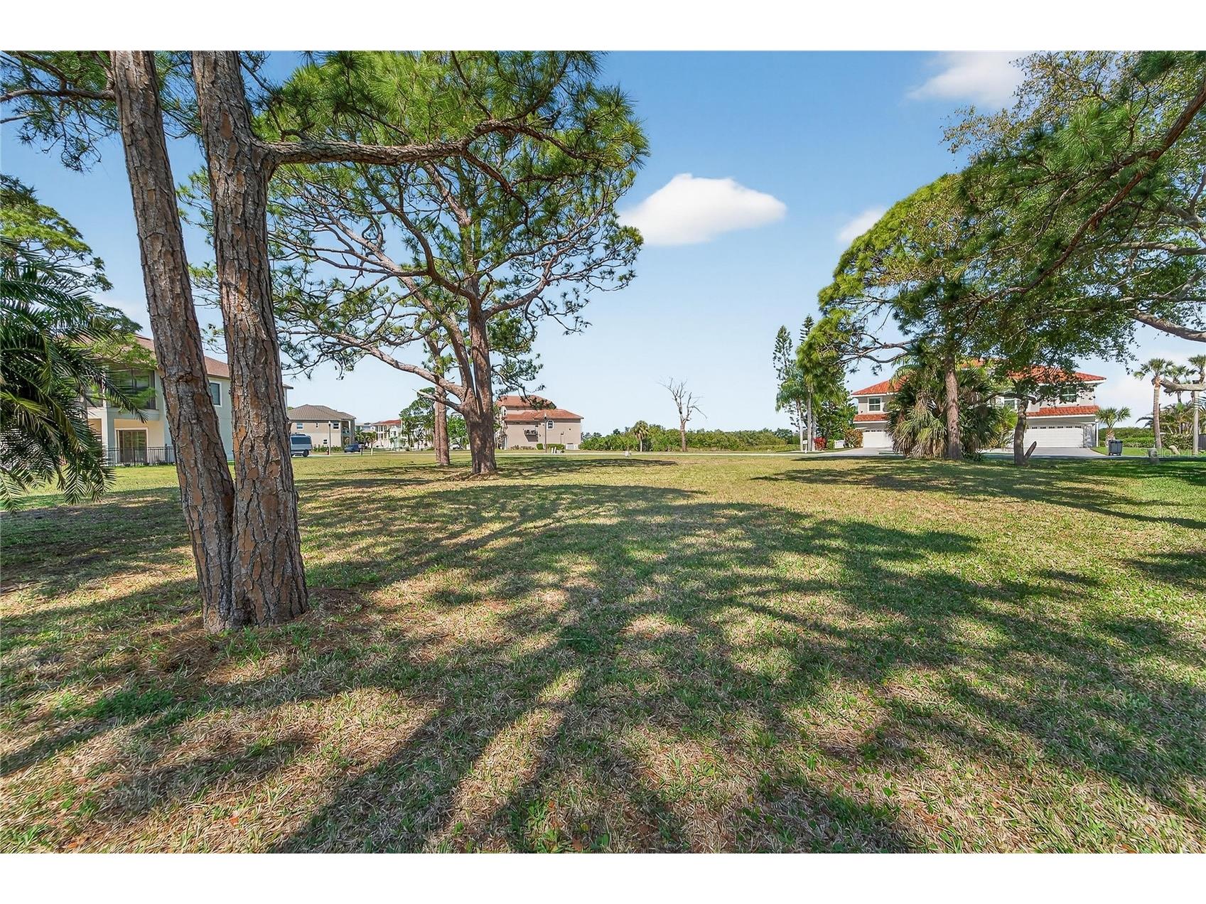 N Pointe Alexis Drive Tarpon Springs FL 34689 TB8492009 image14