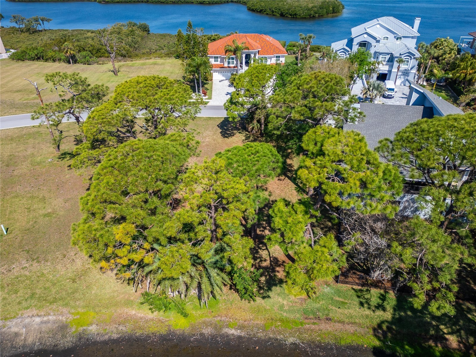 N Pointe Alexis Drive Tarpon Springs FL 34689 TB8492009 image19