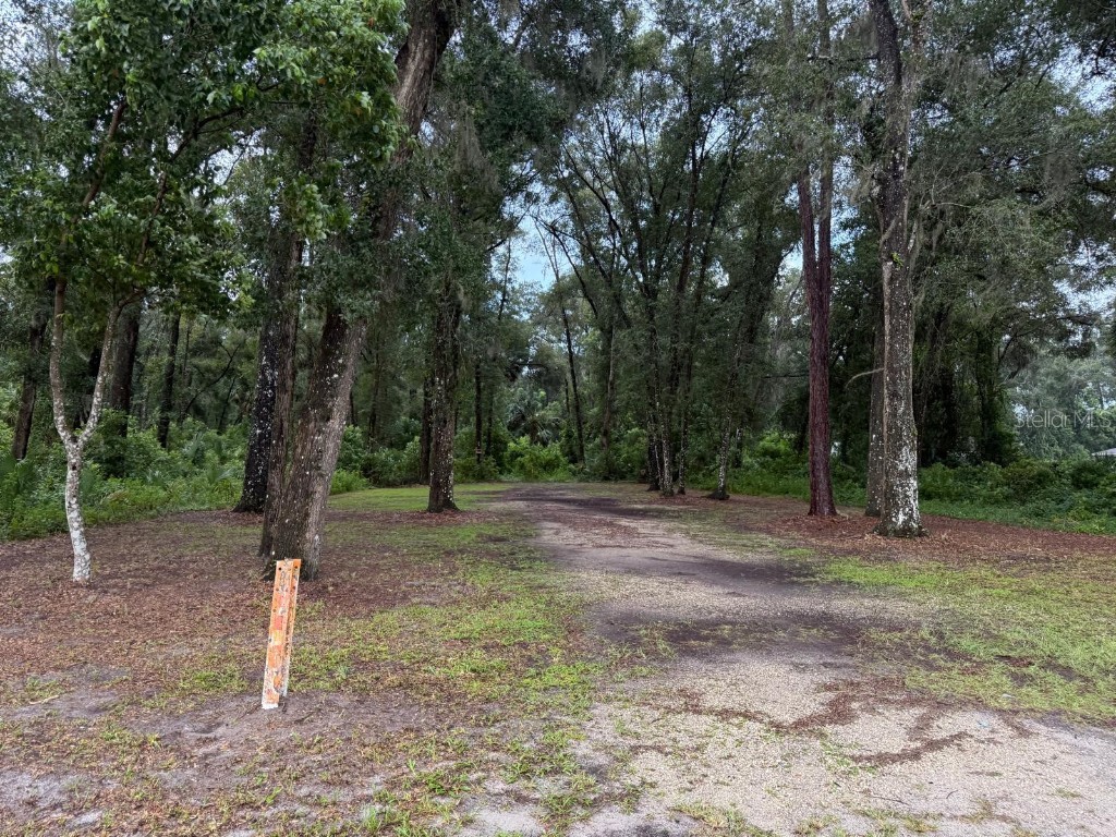 N Spring Garden Avenue Deland FL 32720 O6340602 image6