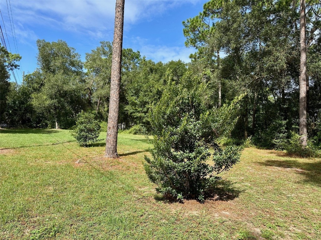 N Thompson Road Apopka FL 32712 O6350819 image5