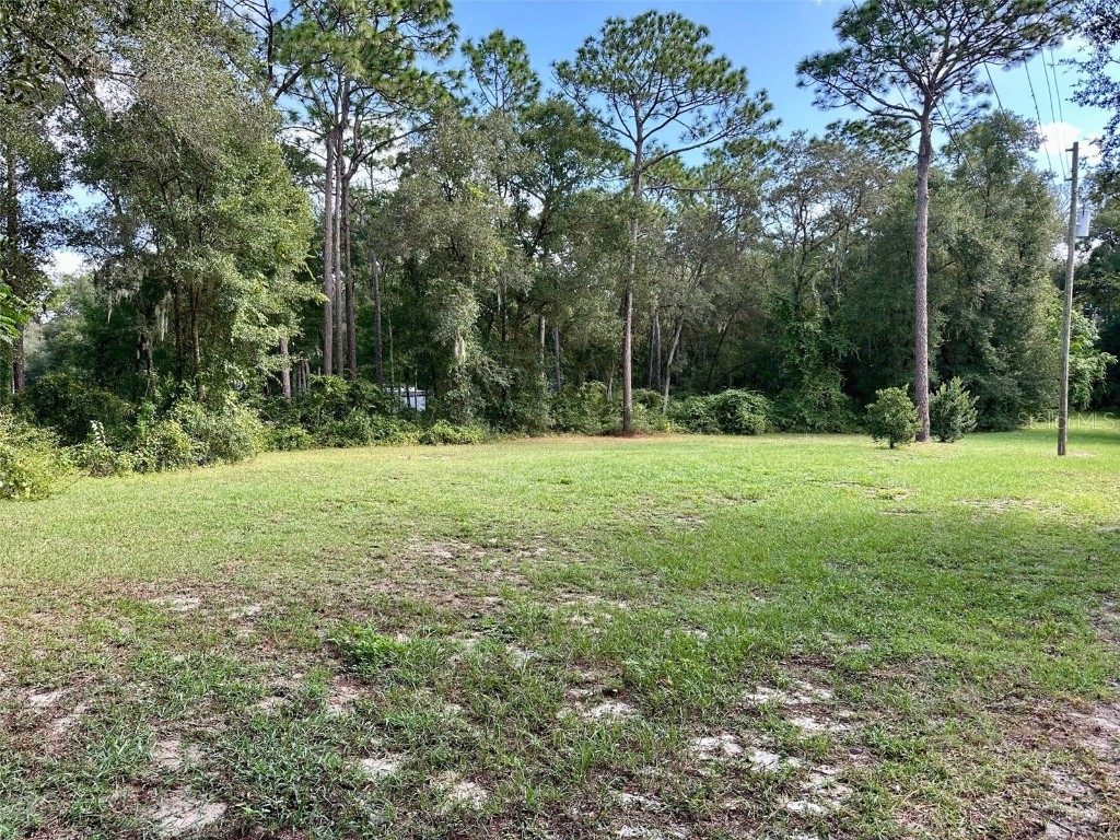 N Thompson Road Apopka FL 32712 O6350819 image7