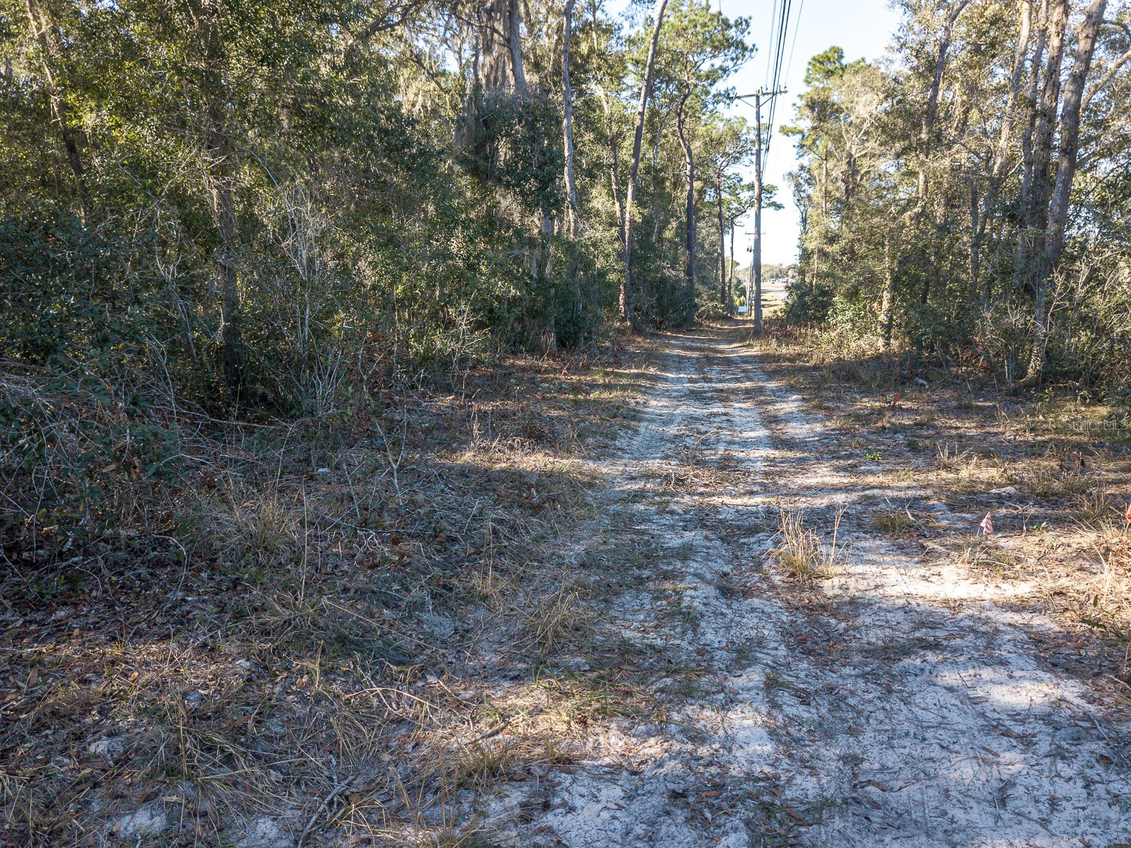 N Us Hwy 17 Deland FL 32720 V4948295 image14