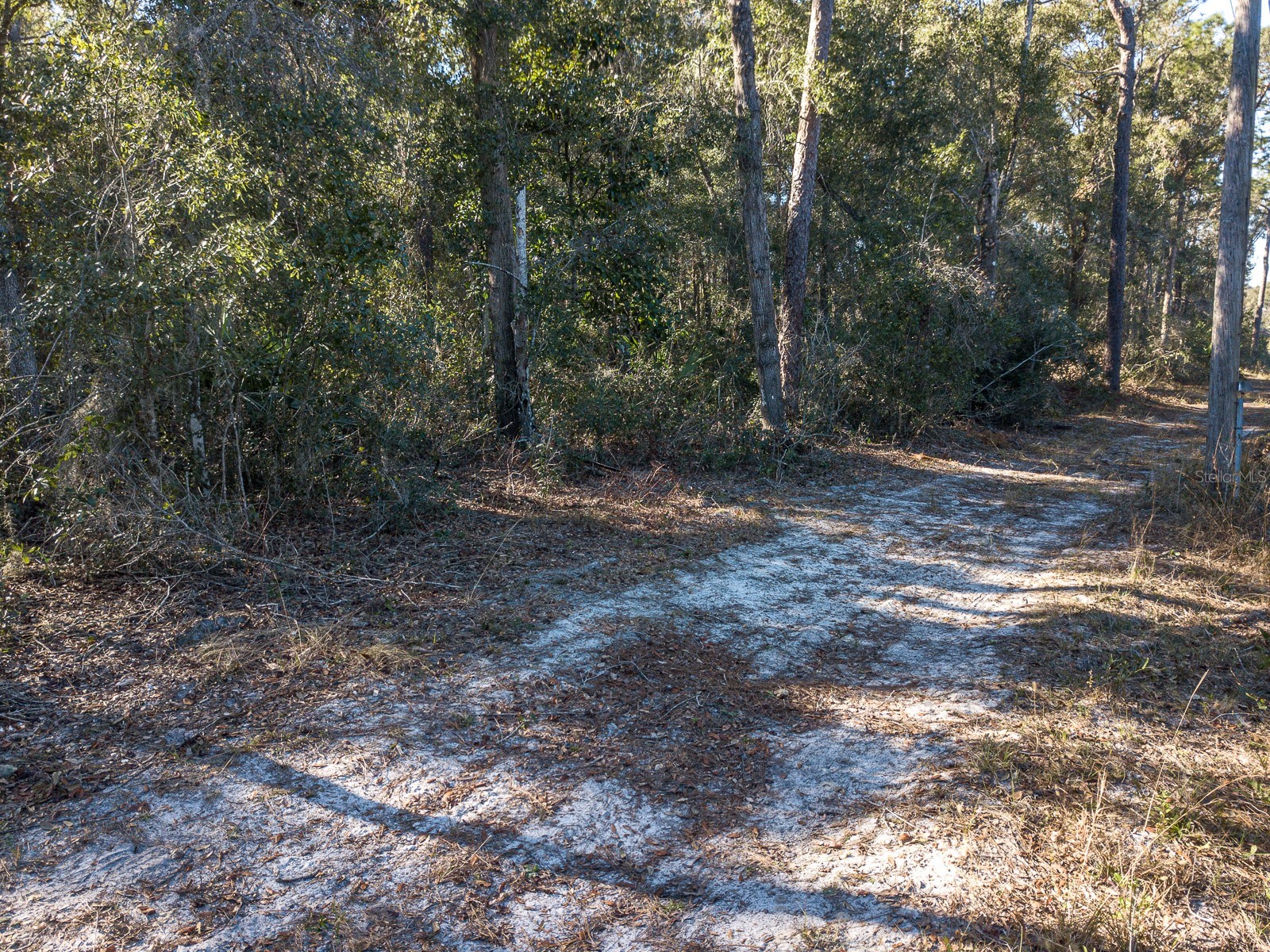 N Us Hwy 17 Deland FL 32720 V4948295 image15