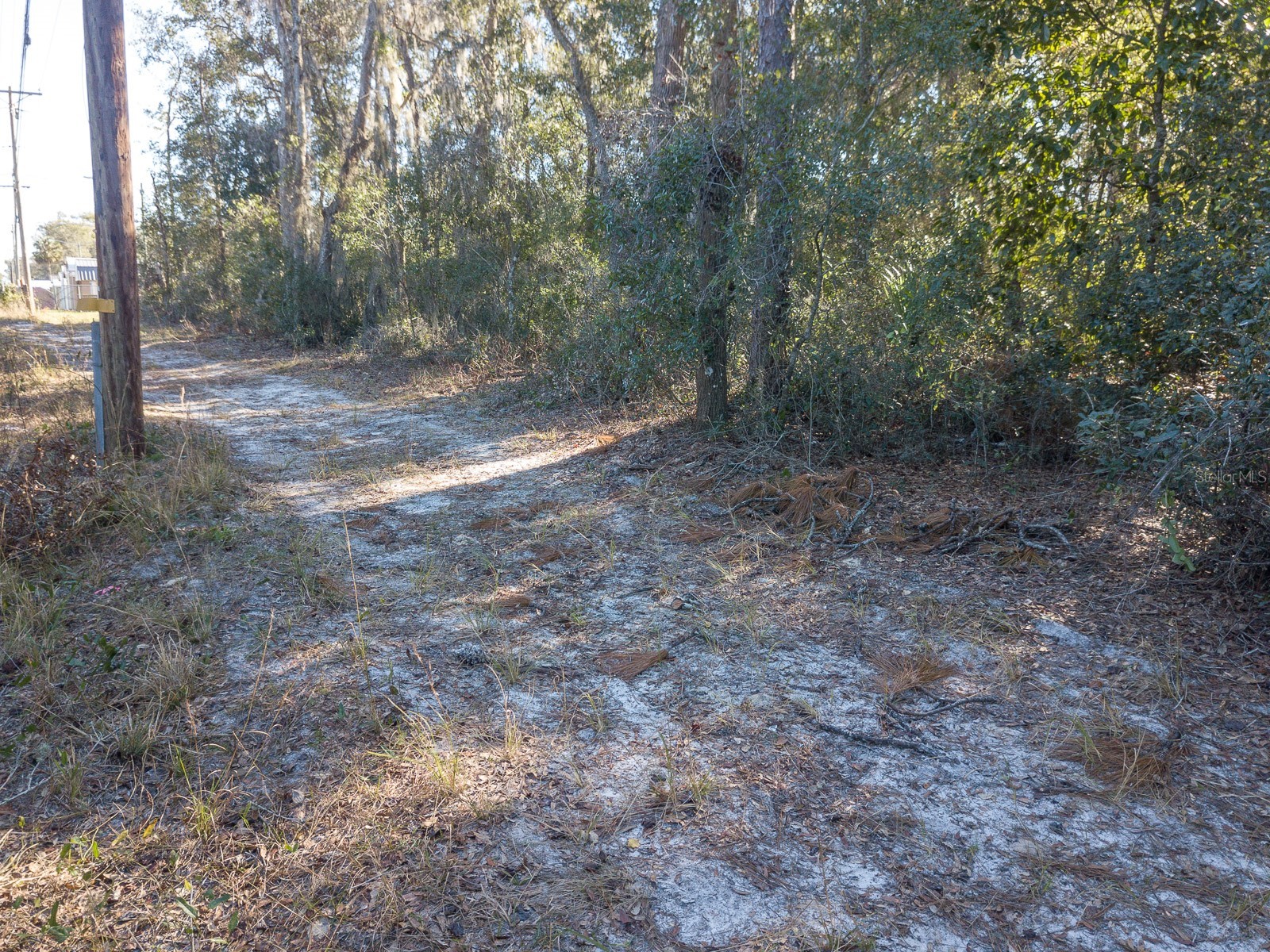 N Us Hwy 17 Deland FL 32720 V4948295 image16