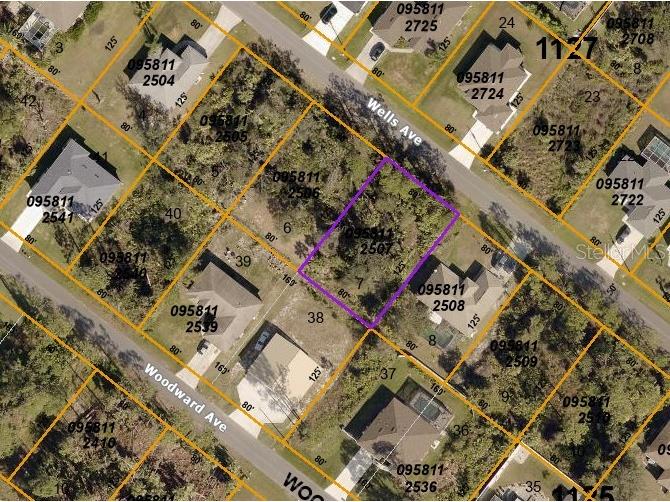 N Wels Avenue North Port FL 34286 D6133627 image1