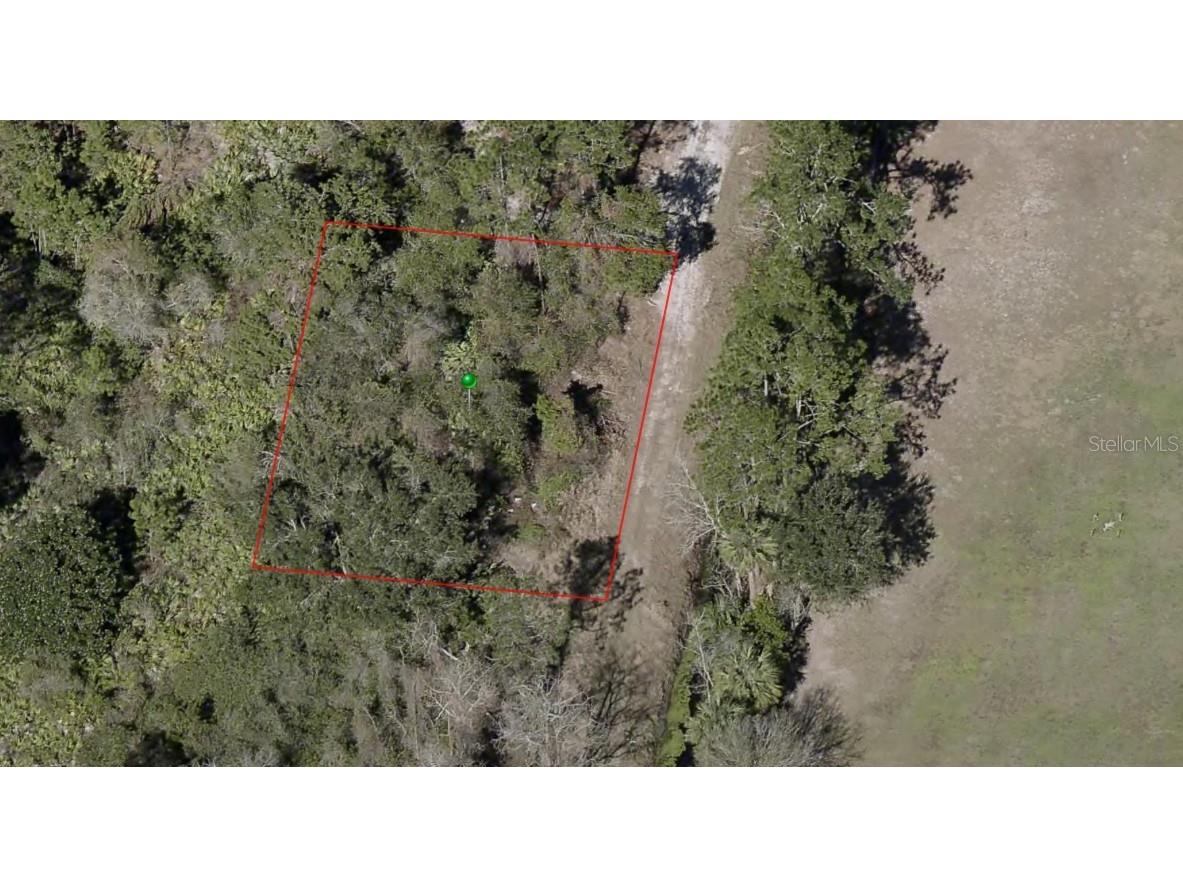 Na Daytona Beach FL 32117 U8242130 image1