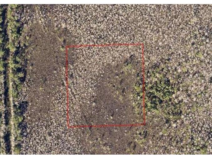 Na Deland FL 32724 O6184159 image3