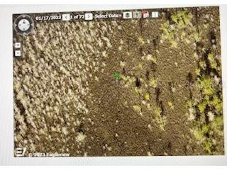 Na Deland FL 32724 O6184159 image7