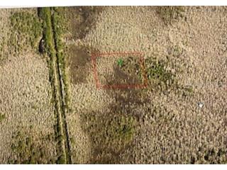 Na Deland FL 32724 O6184159 image8