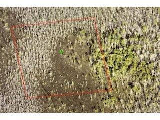Na Deland FL 32724 O6184159 image9