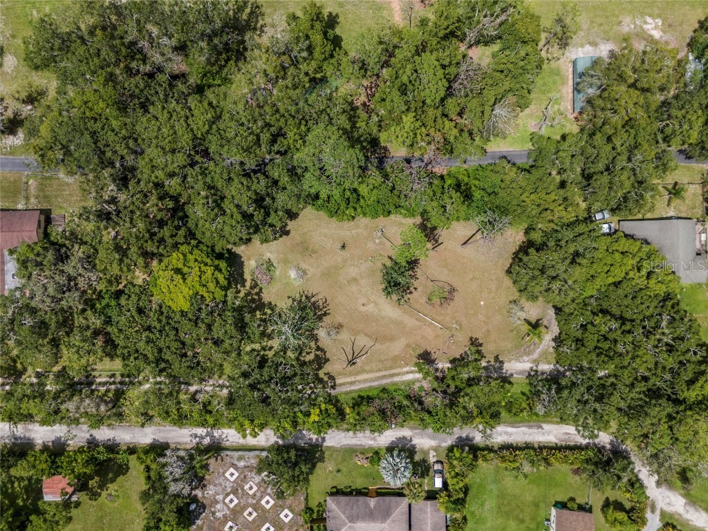 Na Lutz FL 33558 - Moss Lake W7879089 image4