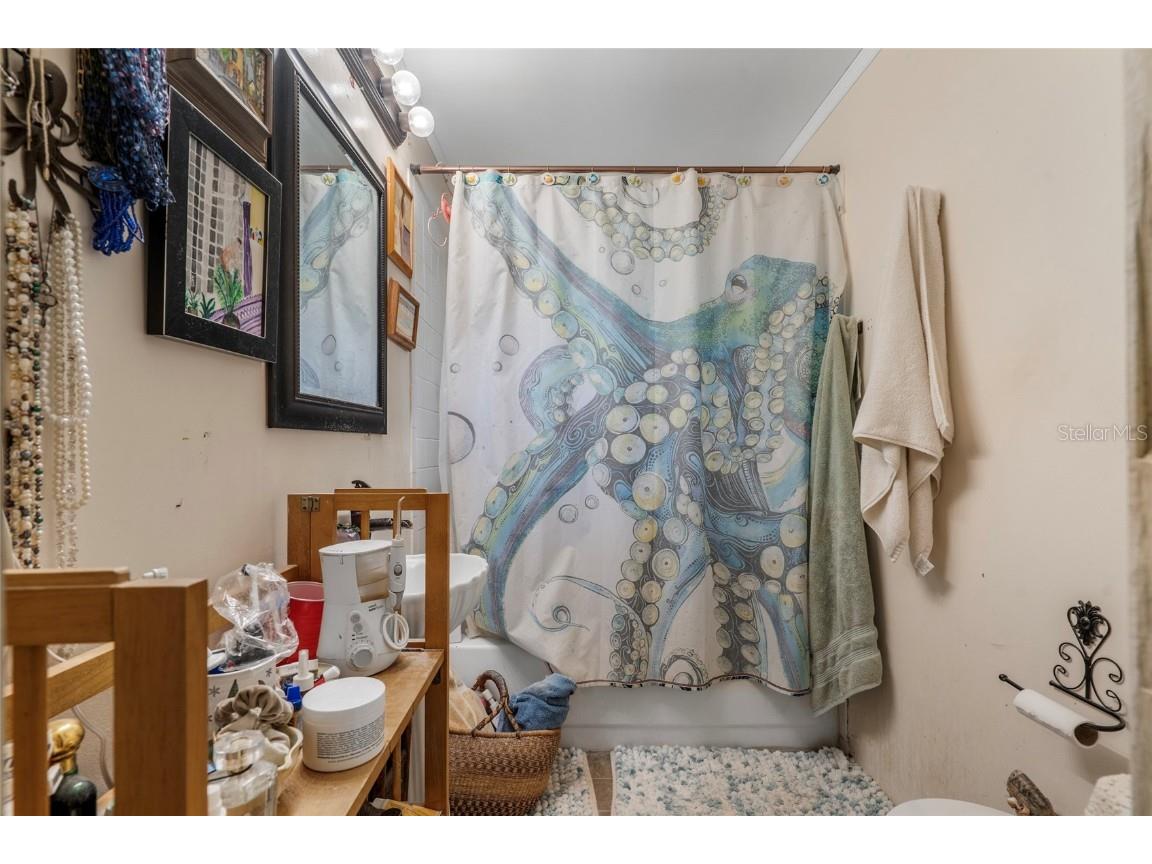 Na Lutz FL 33558 - Moss Lake W7879089 image59