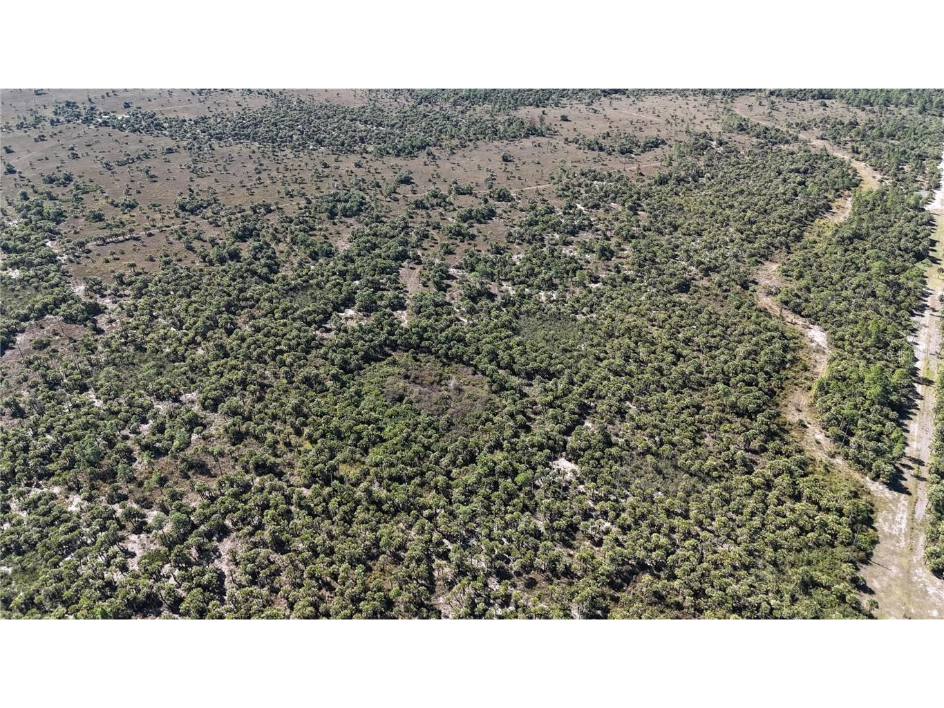 Na Naples FL 34117 OM714698 image1