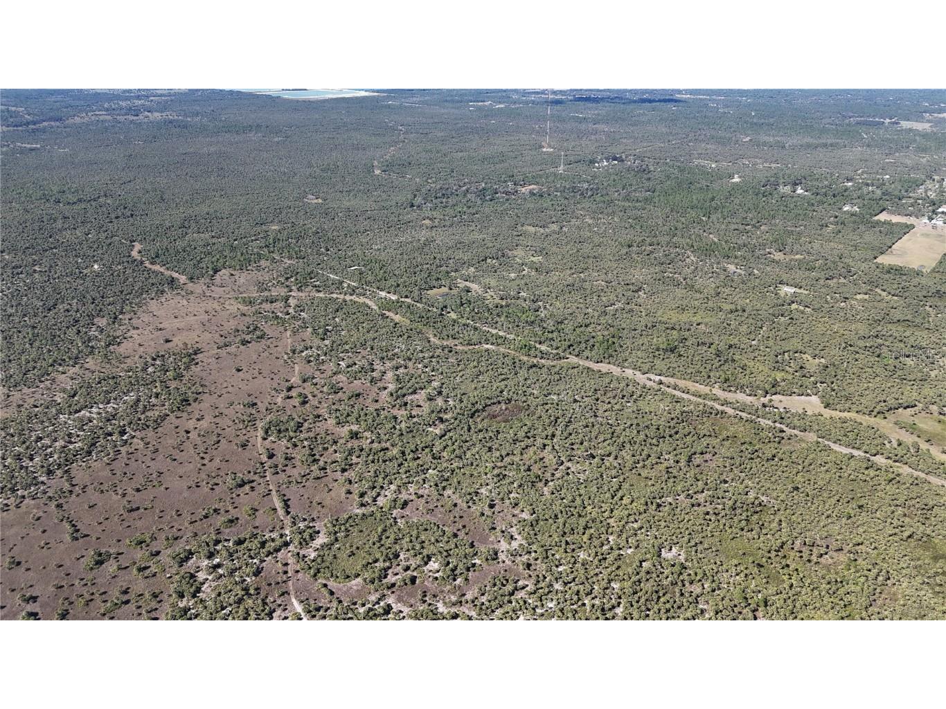 Na Naples FL 34117 OM714698 image12