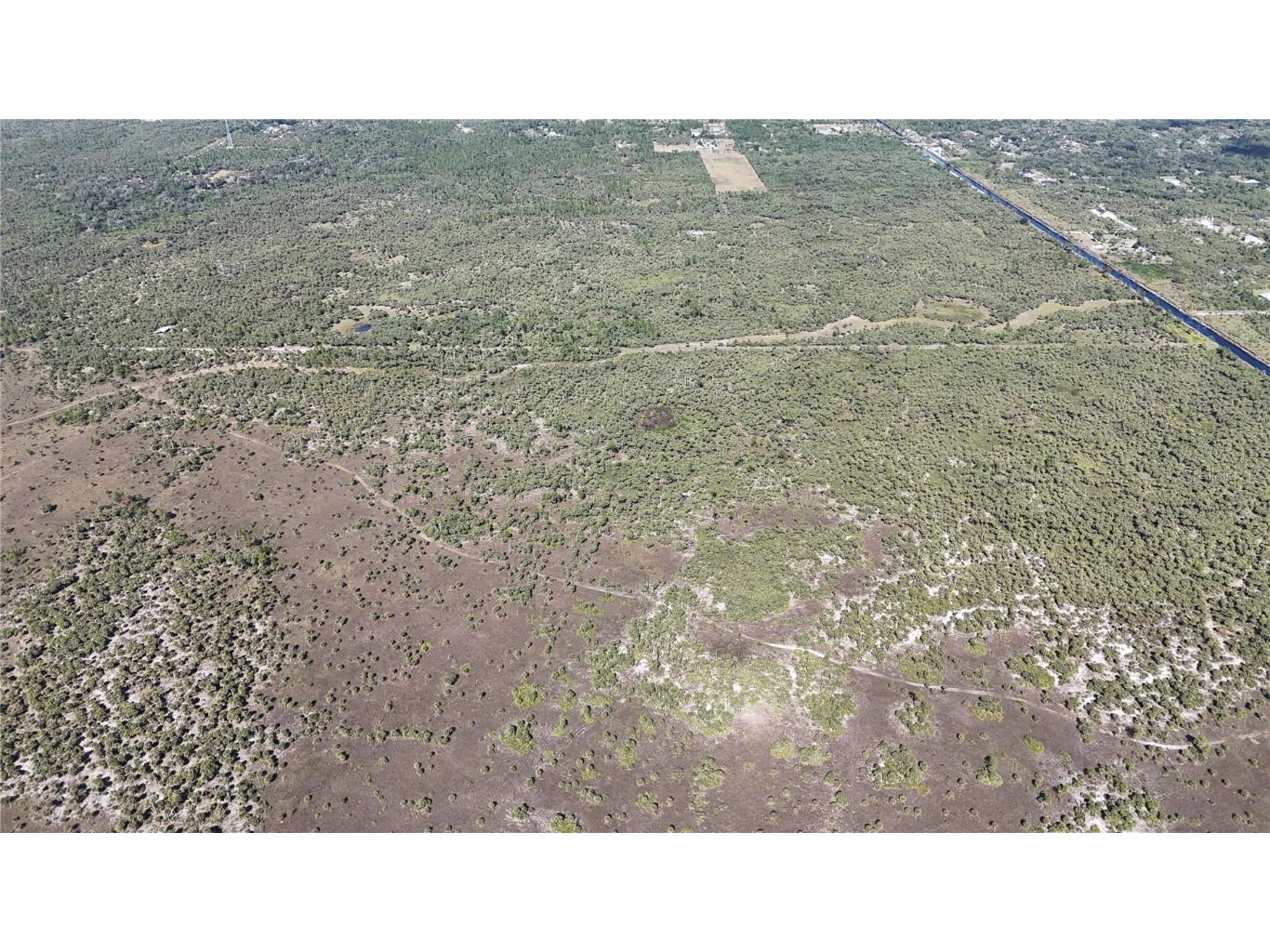 Na Naples FL 34117 OM714698 image13