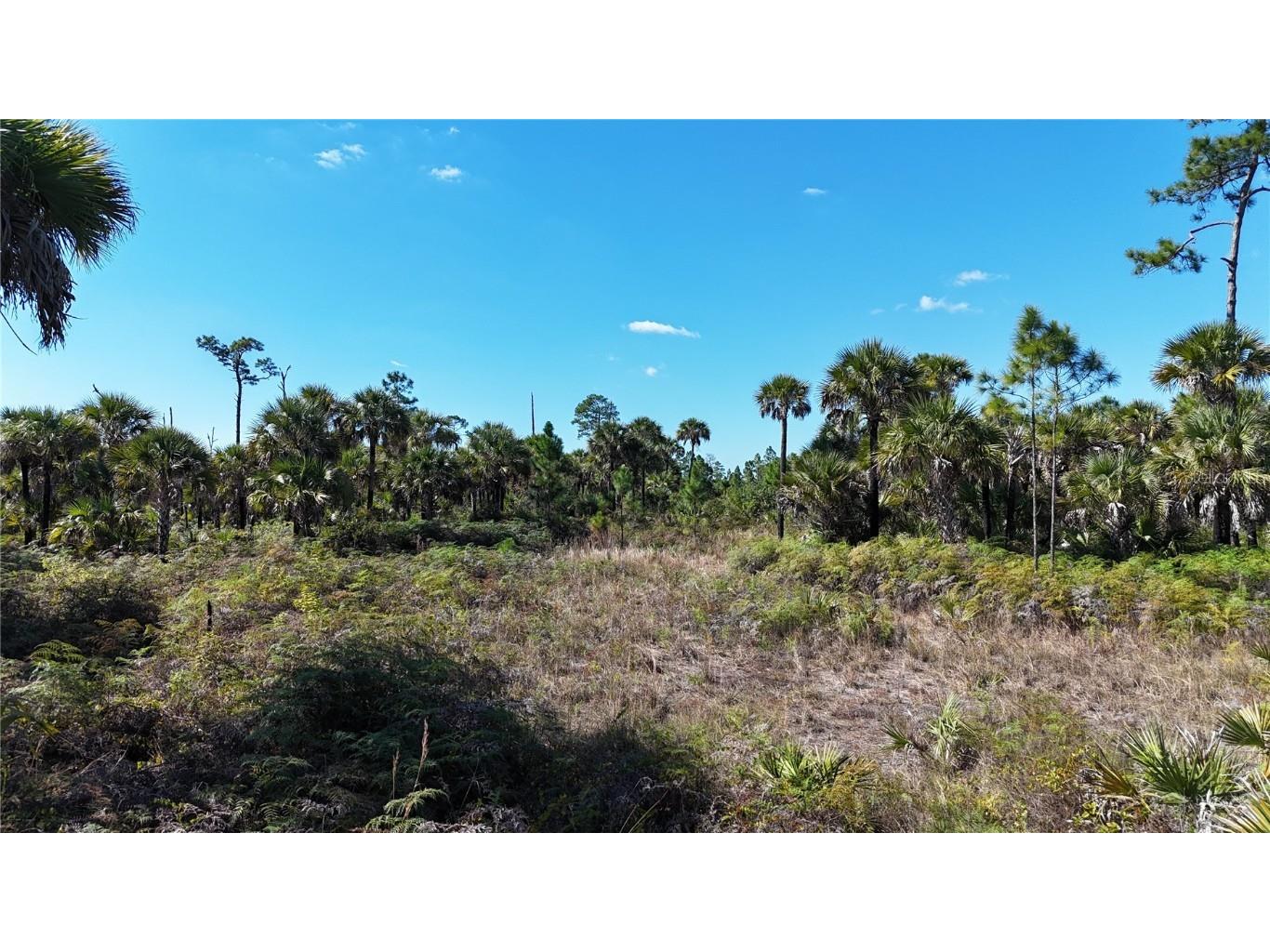 Na Naples FL 34117 OM714698 image15