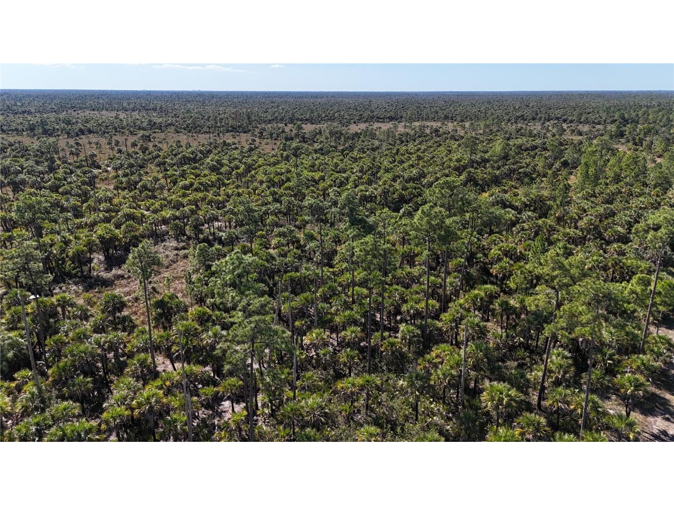 Na Naples FL 34117 OM714698 image17