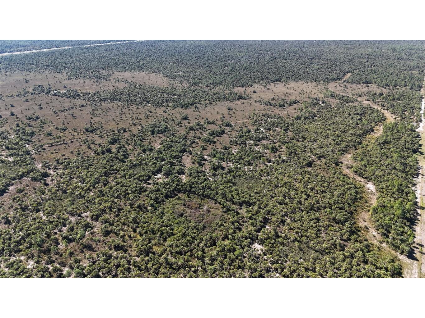 Na Naples FL 34117 OM714698 image18