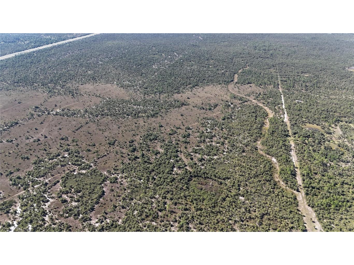 Na Naples FL 34117 OM714698 image19