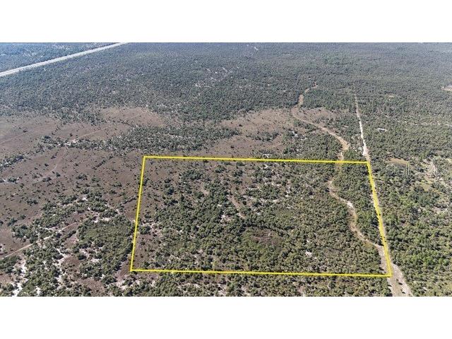 Na Naples FL 34117 OM714698 image2