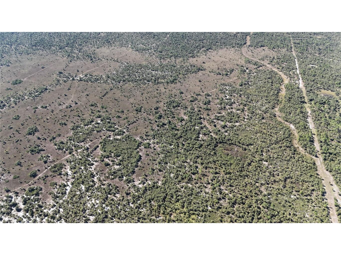 Na Naples FL 34117 OM714698 image20