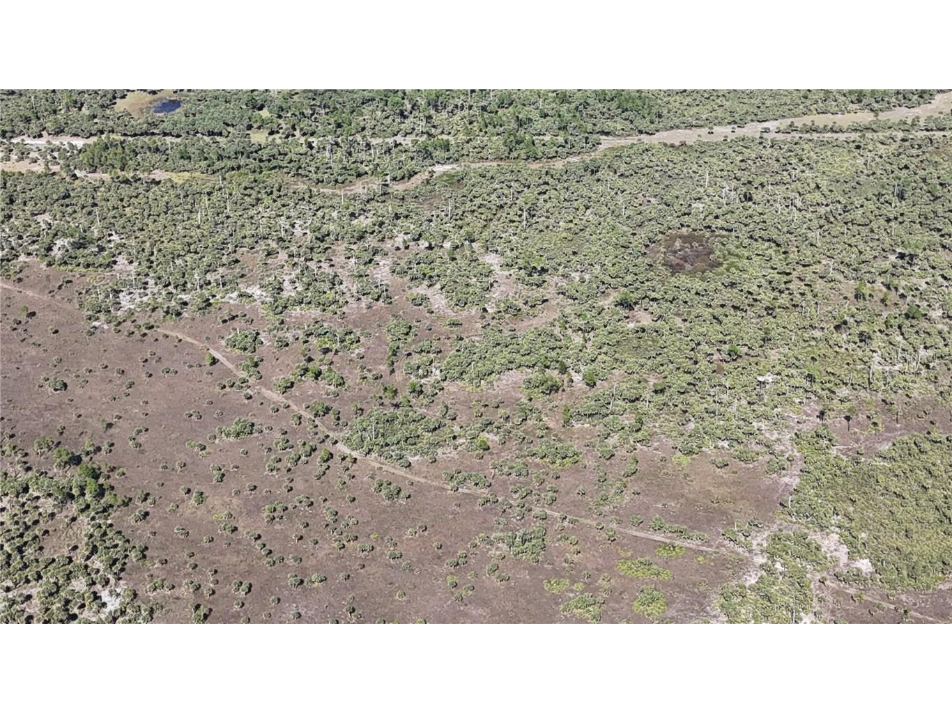 Na Naples FL 34117 OM714698 image21