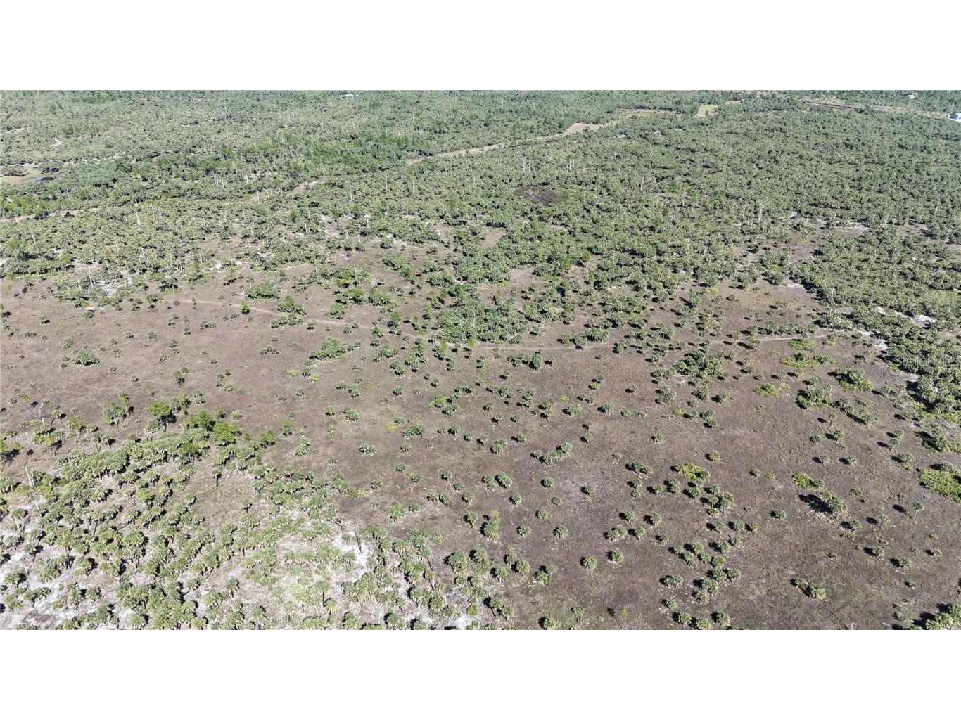 Na Naples FL 34117 OM714698 image22