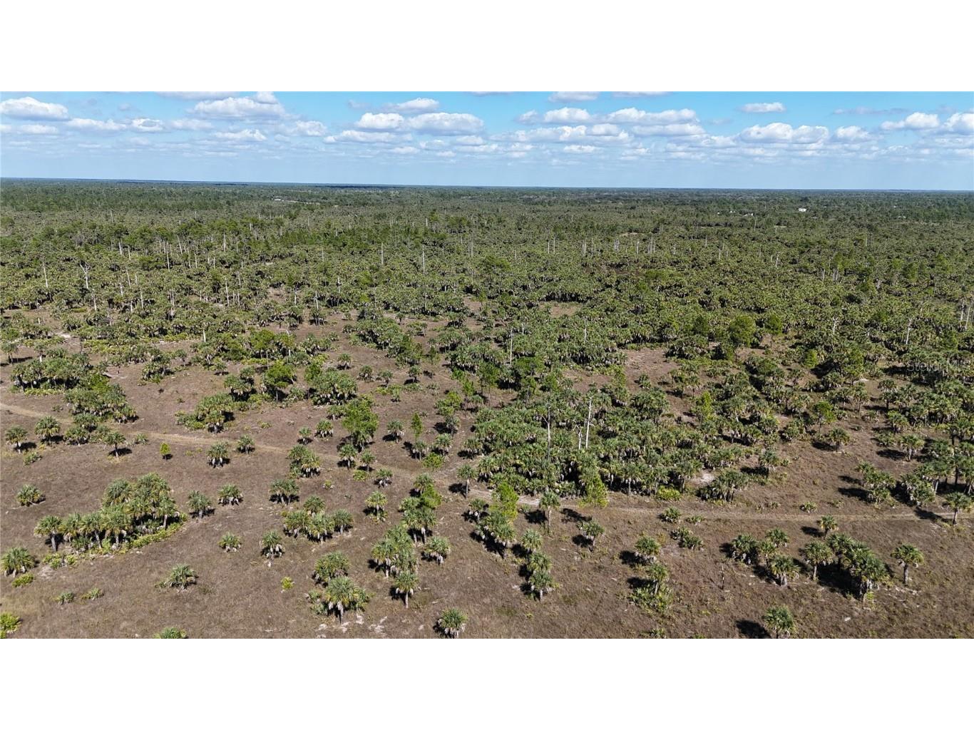 Na Naples FL 34117 OM714698 image23