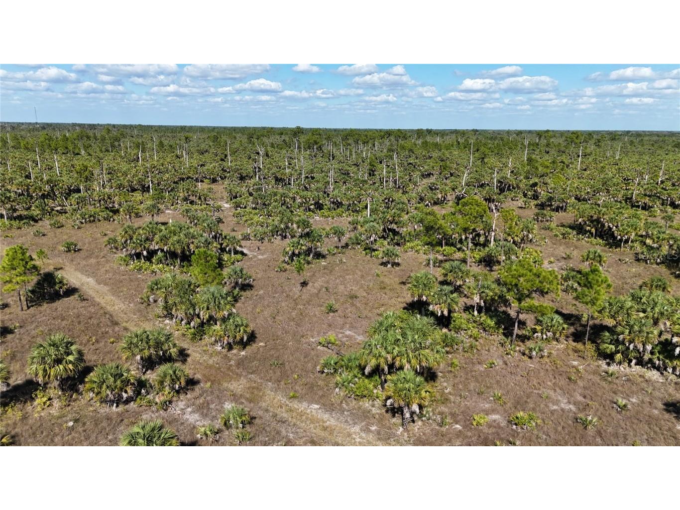 Na Naples FL 34117 OM714698 image24