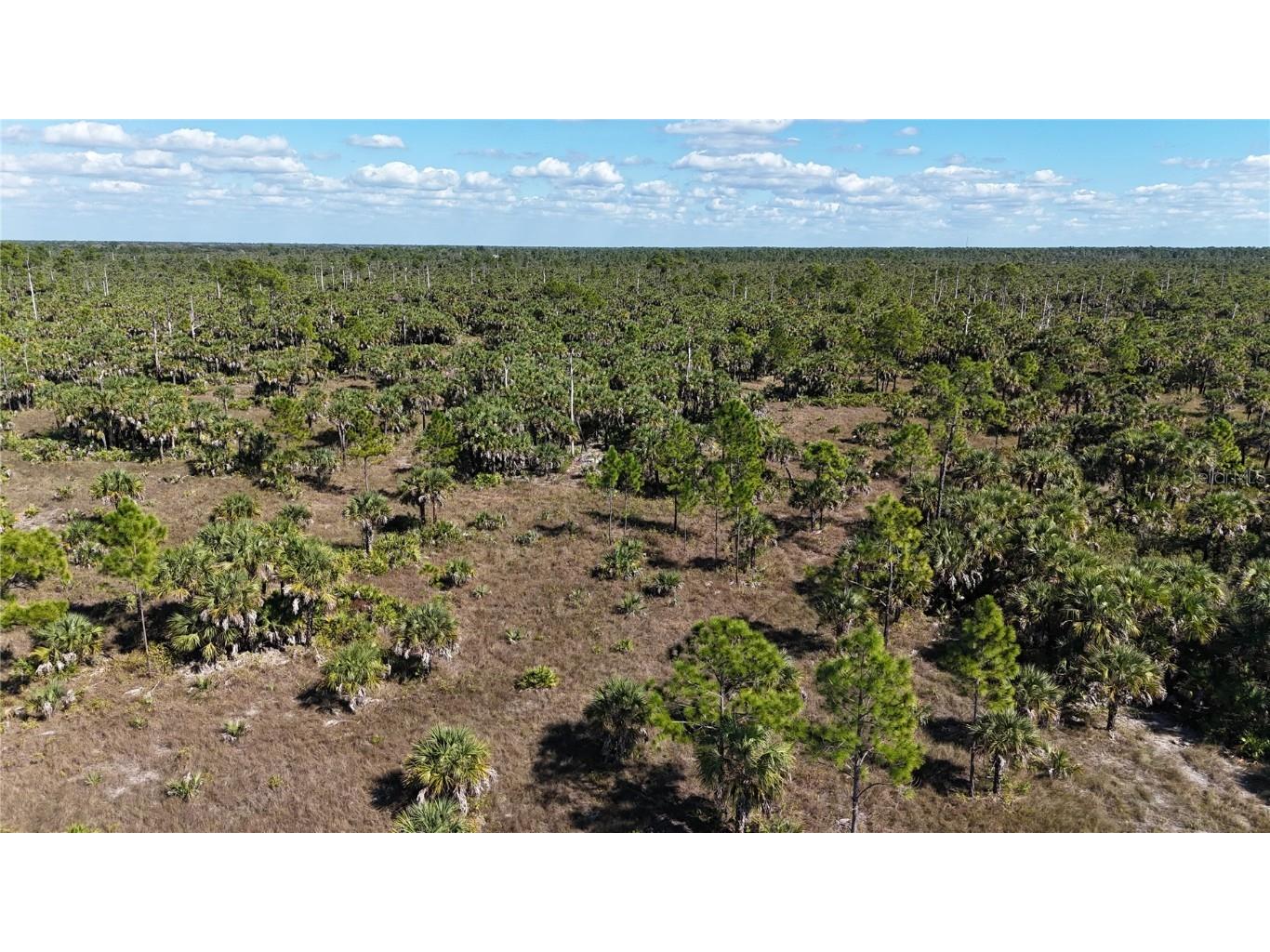 Na Naples FL 34117 OM714698 image25