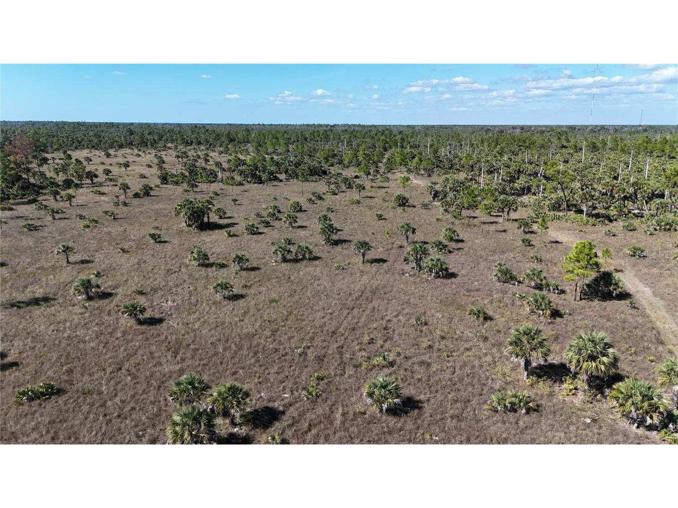 Na Naples FL 34117 OM714698 image26