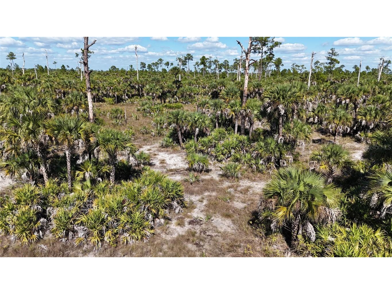 Na Naples FL 34117 OM714698 image28