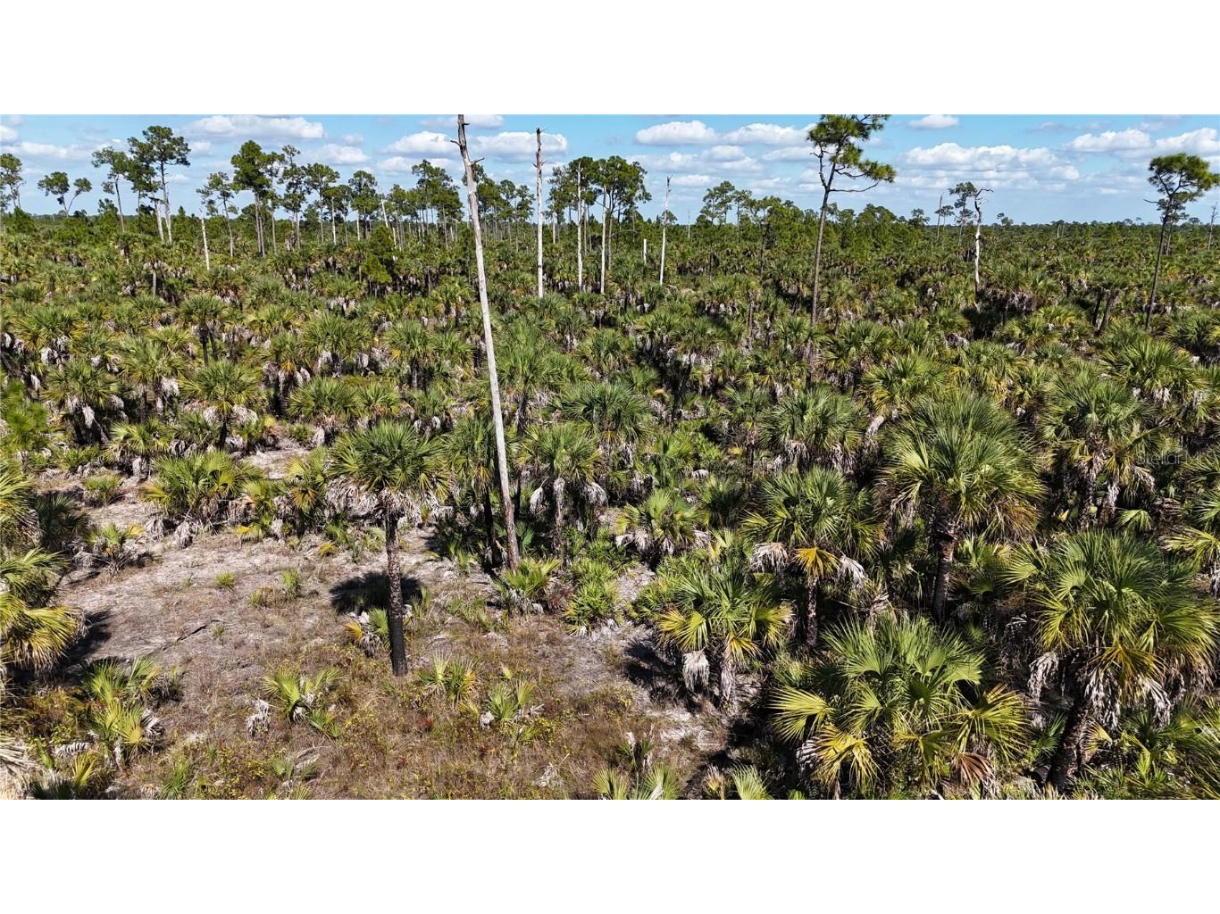 Na Naples FL 34117 OM714698 image29