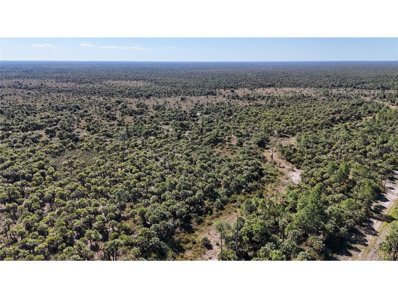 Na Naples FL 34117 OM714698 image3