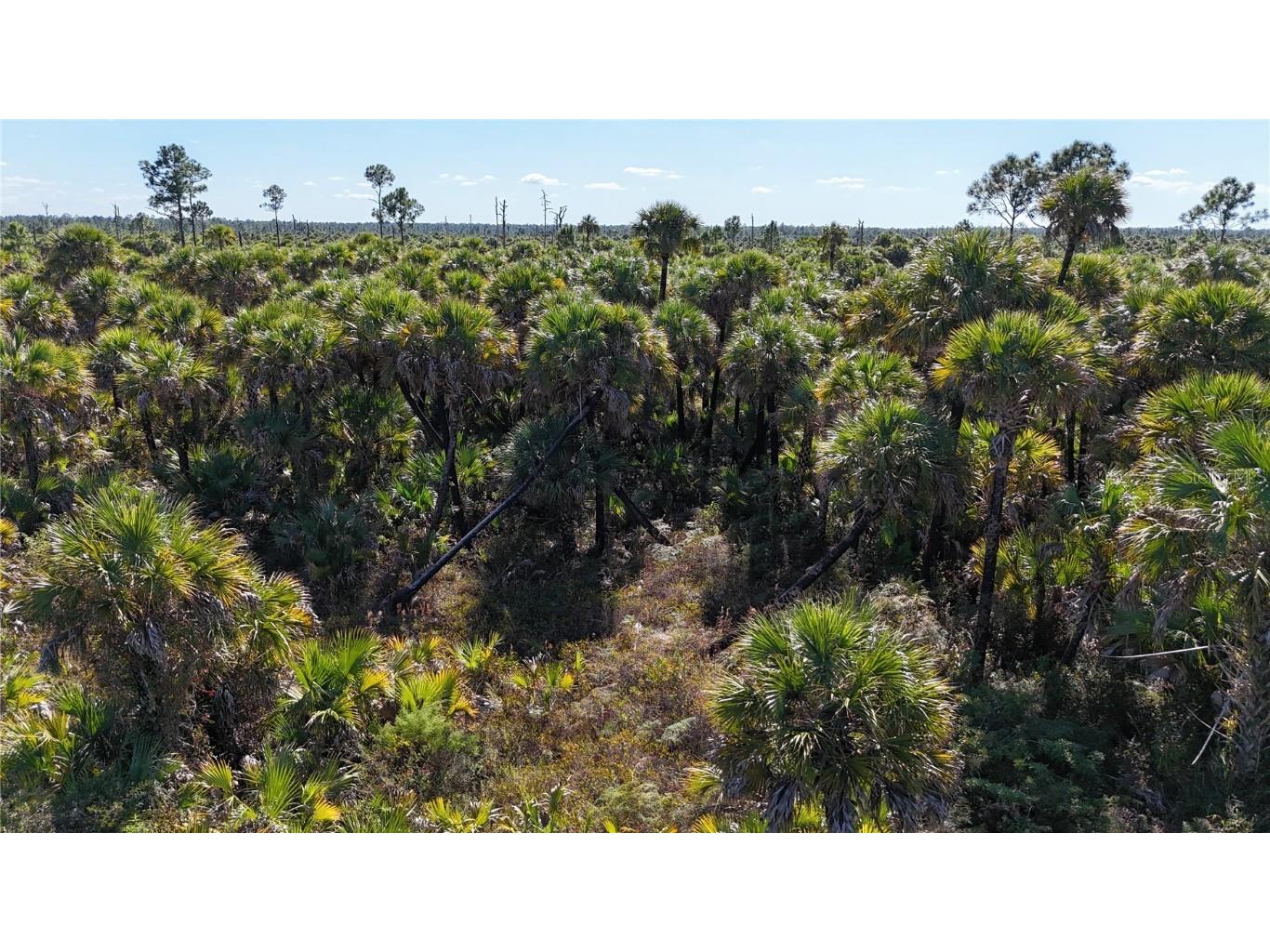 Na Naples FL 34117 OM714698 image30