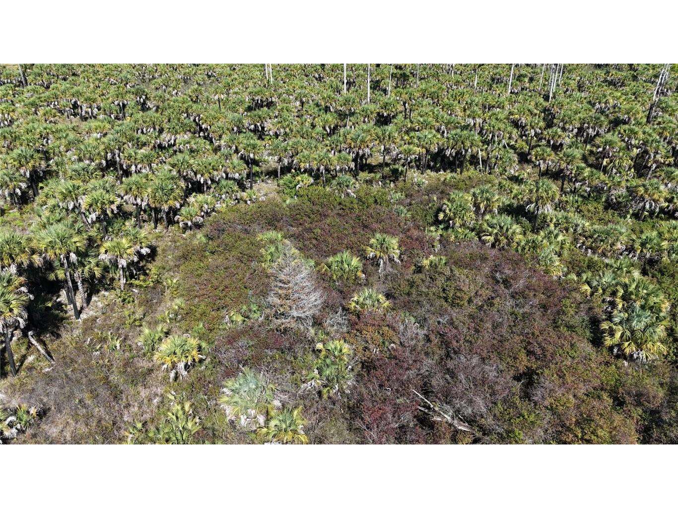 Na Naples FL 34117 OM714698 image31