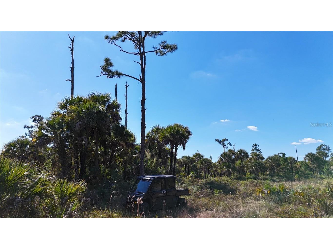 Na Naples FL 34117 OM714698 image34