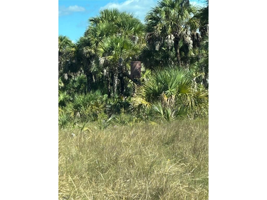 Na Naples FL 34117 OM714698 image35