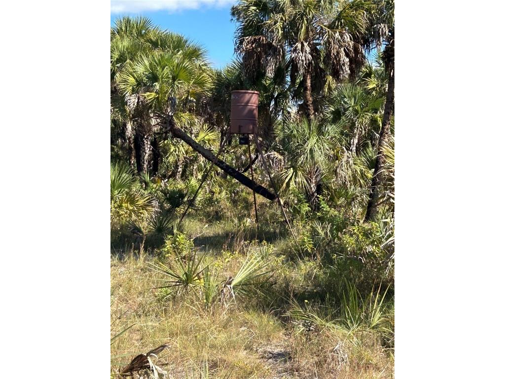 Na Naples FL 34117 OM714698 image36