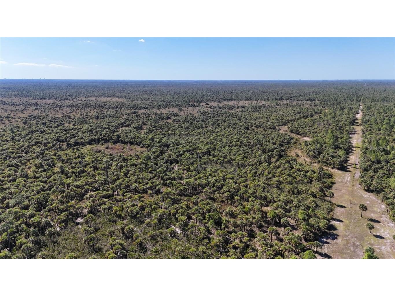 Na Naples FL 34117 OM714698 image6