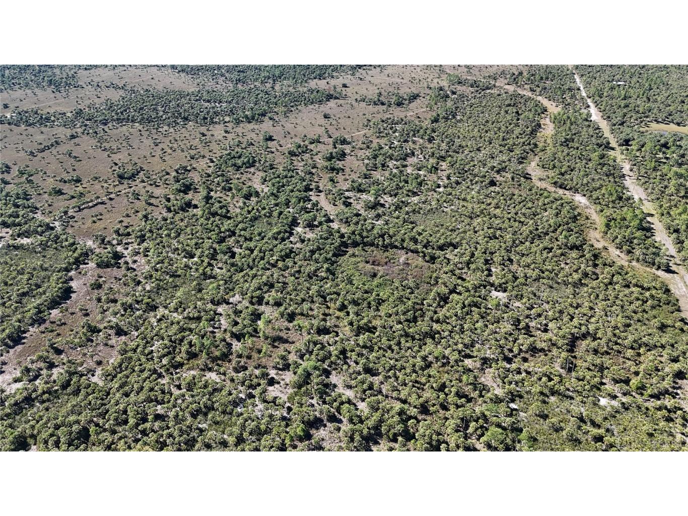 Na Naples FL 34117 OM714698 image7