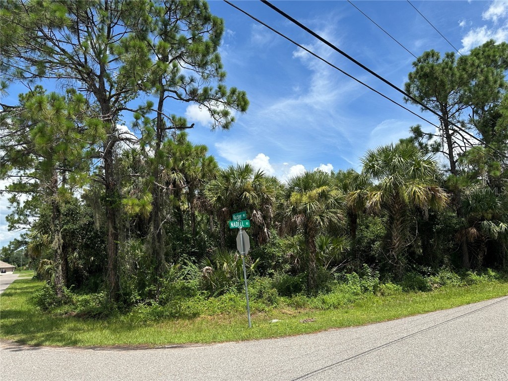 Nadell Road North Port FL 34288 A4660667 image8
