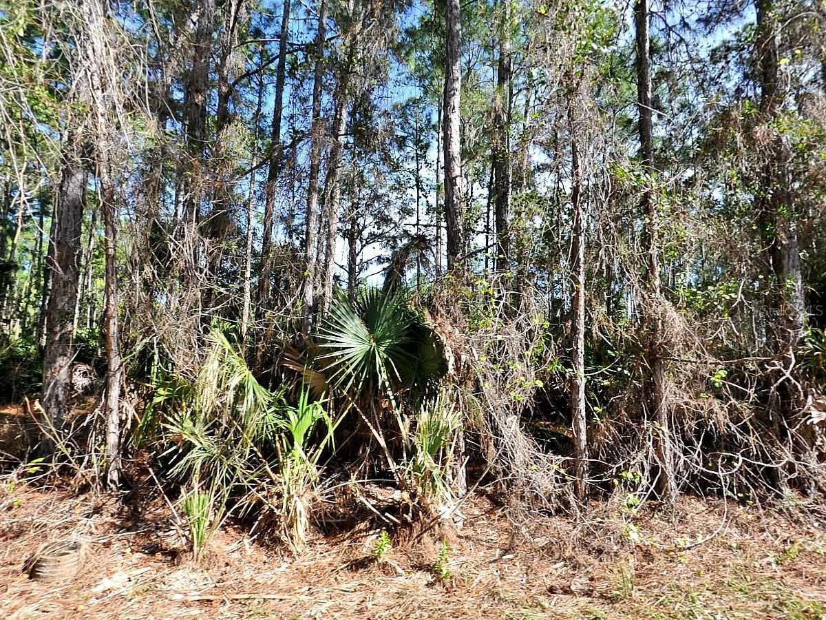 Nagengast Street North Port FL 34288 A4688531 image1