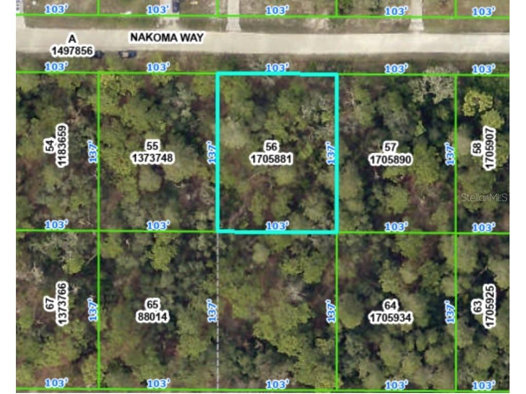 Nakoma Way Weeki Wachee FL 34613 T3478189 image1