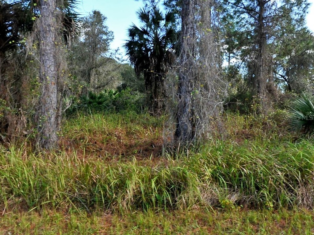 Namiot Cir Lot 5 Circle North Port FL 34288 C7505374 image1