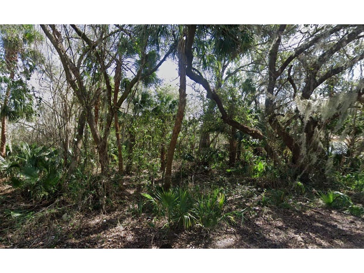 Nancy Street Oak Hill FL 32759 O6322722 image1